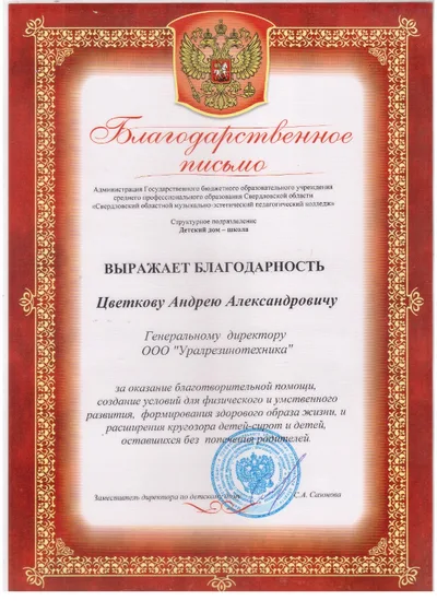 Детский дом-школа