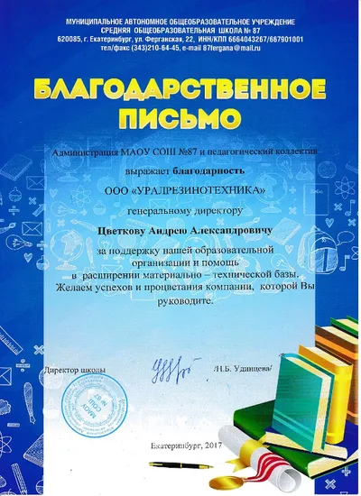 МАОУ СОШ №87